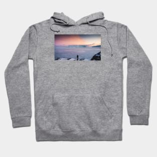 Frozen Lands Hoodie